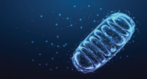 Focus on cell respiration&mdash;Have you heard of hypoxiageing&trade;?